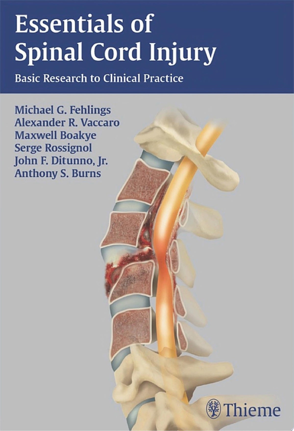 Essentials of Spinal Cord Injury: Basic Research to Clinical Practice