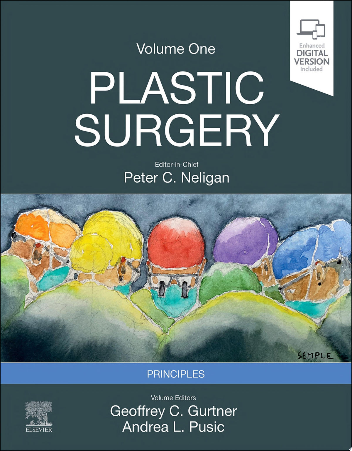 Reconstructive Surgery of the Hand and Upper Extremity (PDF)